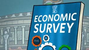 Economic Survey Proposes Redefinition of ‘Government Company’