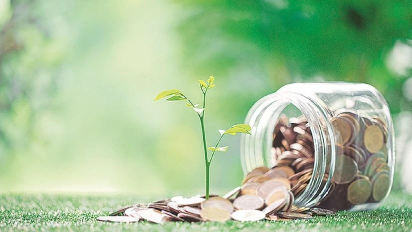 Money Market Funds Emerge as Preferred Option for 6–12 Month Low-Risk Investors Amid Stable Yield Environment