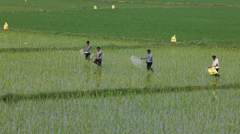 GSP Crop Science Raises ₹120 Crore from Anchor Investors; IPO to Open on March 16