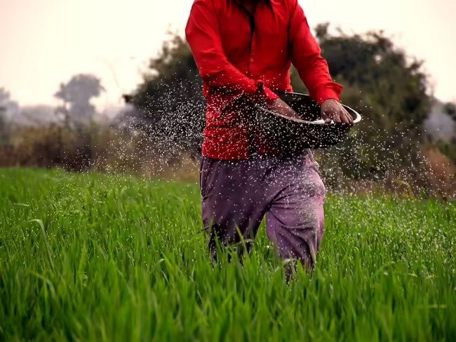 Iran War May Trigger Global Food Crisis as Fertilizer Supply Risks Rise