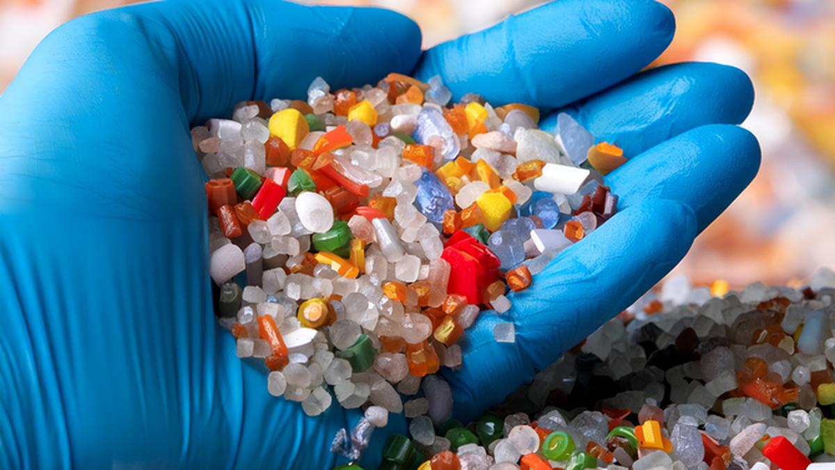 Govt Waives Customs Duty on Key Petrochemicals — Big Relief Amid West Asia Crisis